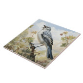 Carreau Mockingbird, Chanteur (Côté)