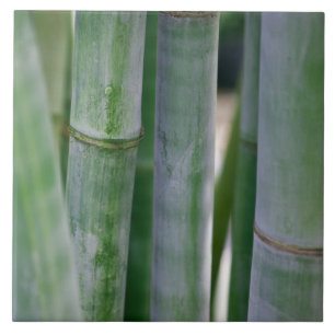 Carreau Modèle customisé par arrière - plan en bambou