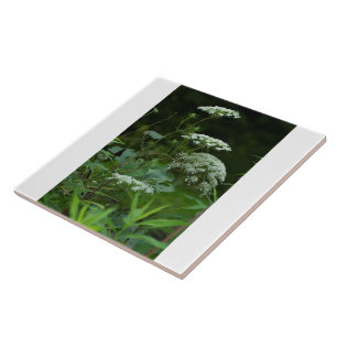 Carreau modèle de mosaïque