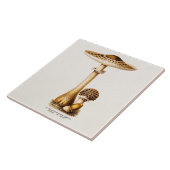 Carreau Modèle vintage de champignons d'Agricus de (Côté)