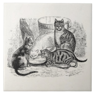 Carreau Modèle vintage d'illustration de chat de 1800s de