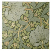 Carreau Modèle vintage William Morris Pimpernel (Devant)
