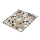 Carreau Moderne belle roche naturelle terrazzo Motif (Côté)