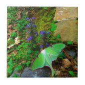 Carreau Mois Luna Vert (Devant)