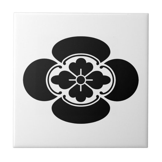 Carreau Mokko (Devant)