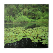 Carreau Molalla River State Park Canby, Oregon (Devant)