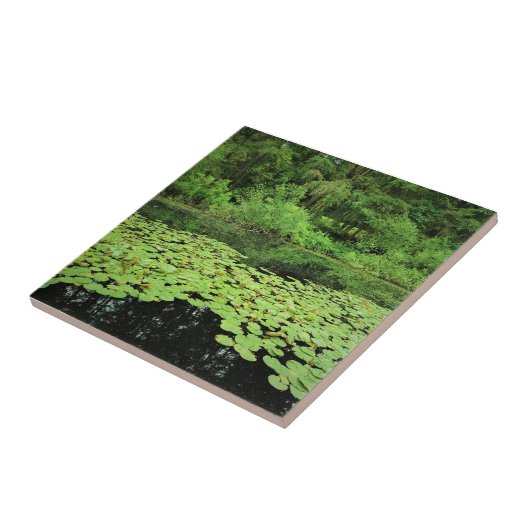 Carreau Molalla River State Park Canby, Oregon (Côté)