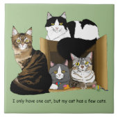 Carreau Mon chat a des chats (Devant)