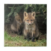 Carreau Mon frère (Devant)