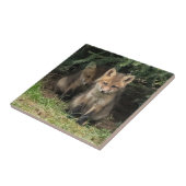 Carreau Mon frère (Côté)