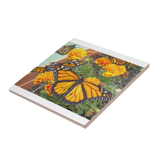 Carreau Mon Monarque Papillons (Côté)