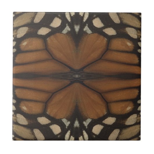 Carreau Monarch Butterfly Wing Close Up Motif (Devant)