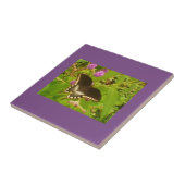 Carreau Monarque noire violette enveloppée (Côté)