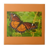 Carreau Monarque orange (Devant)