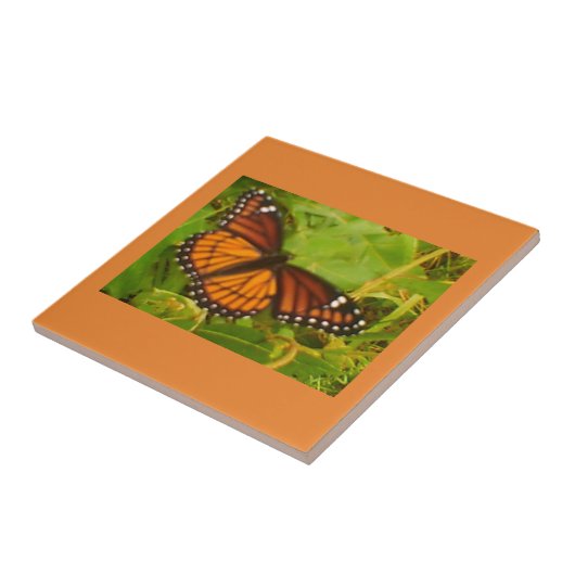 Carreau Monarque orange (Côté)