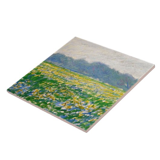 Carreau Monet (Côté)