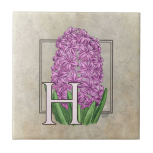 Carreau Monogramme floral rose Hyacinth