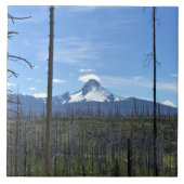 Carreau Mont Washington, OR (Devant)