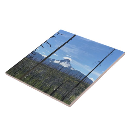 Carreau Mont Washington, OR (Côté)