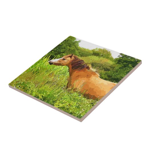 CARREAU MONTAGNE CHAUDE PONY (Côté)