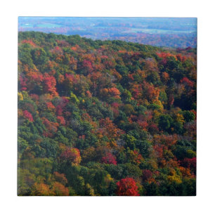 Carreau Montagnes Appalaches en automne
