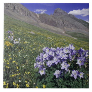 Carreau Montagnes et fleurs sauvages dans un pré alpin, Bl