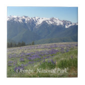 Carreau Montagnes et prairies du parc national olympique (Devant)