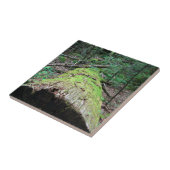 Carreau Montagnes fumeuses (Côté)