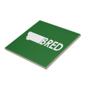 Carreau Montana Bred (Côté)