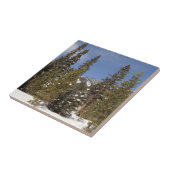 Carreau Montana Mountain Trails in Winter Landcape Photo (Côté)