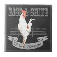 Monter et briller le coq