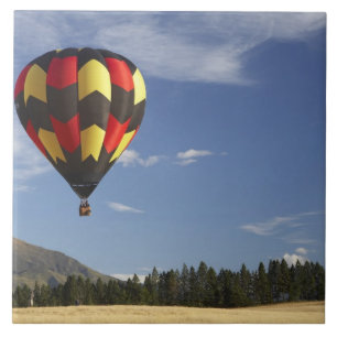 Carreau Montgolfière près de Wanaka, île du Sud, Nouvelle