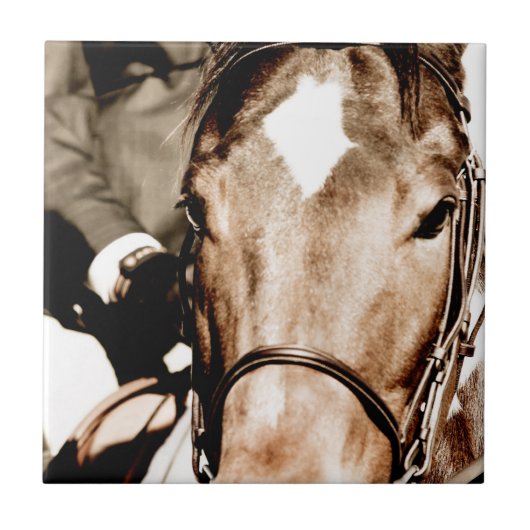 Carreau Montrez le cheval (Devant)