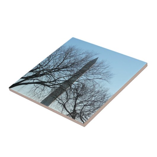 Carreau Monument de Washington dans le paysage d'hiver I (Côté)