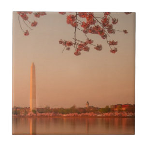 Carreau Monument de Washington Sakura au coucher du soleil