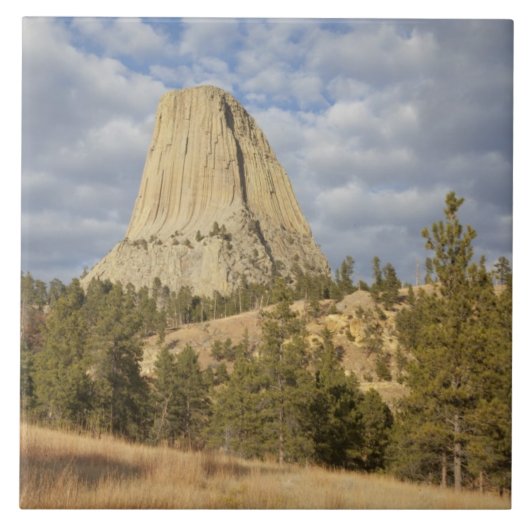 Carreau Monument national de Devils Tower (Devant)