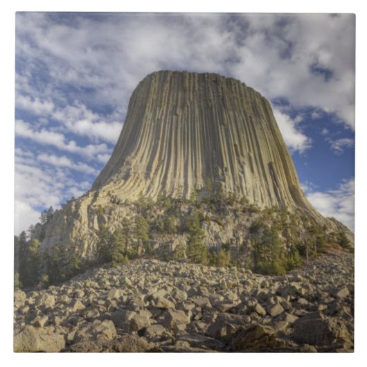 Carreau Monument national de Devils Tower (Devant)