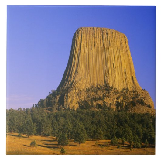 Carreau Monument national de Devils Tower dans le Wyoming (Devant)