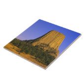 Carreau Monument national de Devils Tower dans le Wyoming (Côté)