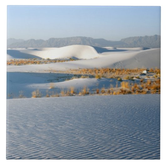 Carreau Monument national de White Sands, Dunes transverse (Devant)