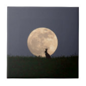 Carreau Moongazer.JPG (Devant)