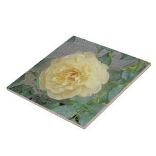 CARREAU MOONLIGHT YELLOW ROSE/PHOTOG.WITH EFFETS NUMÉRIQUE
