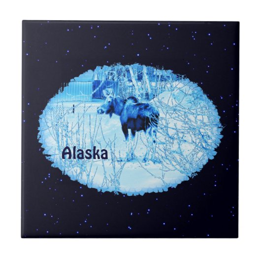 Carreau Moose urbaine (Devant)