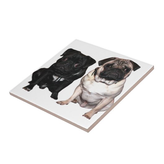 Carreau Mops Jack et Richi (Côté)