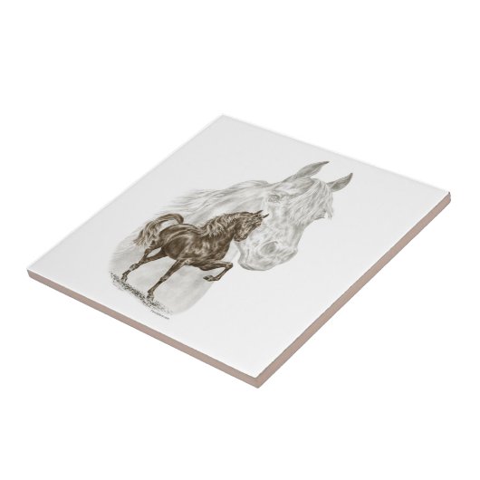 Carreau Morgan Horse Art (Côté)