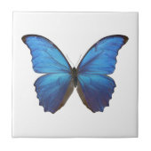 CARREAU MORPHO DIDIUS D (Devant)