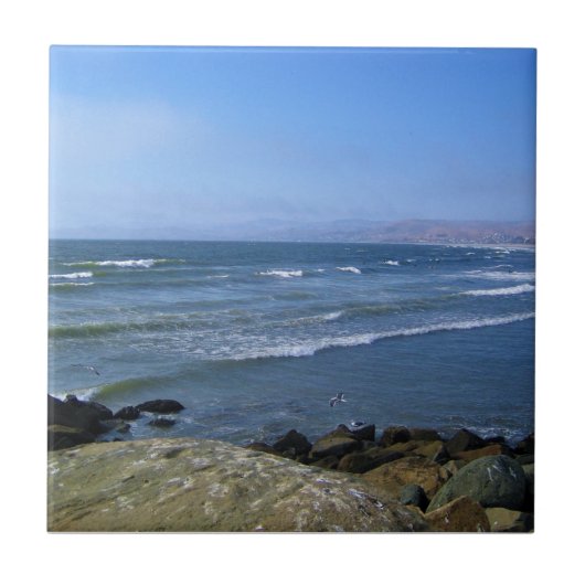 Carreau Morro Bay, Californie (Devant)