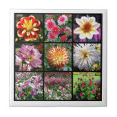 Carreau Mosaic dahlia fleurs (Devant)