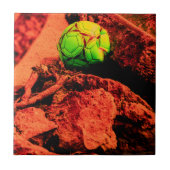 Carreau mosquitus (Devant)