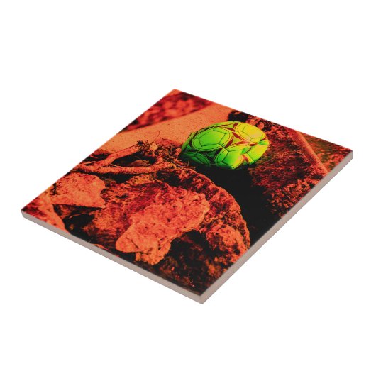 Carreau mosquitus (Côté)